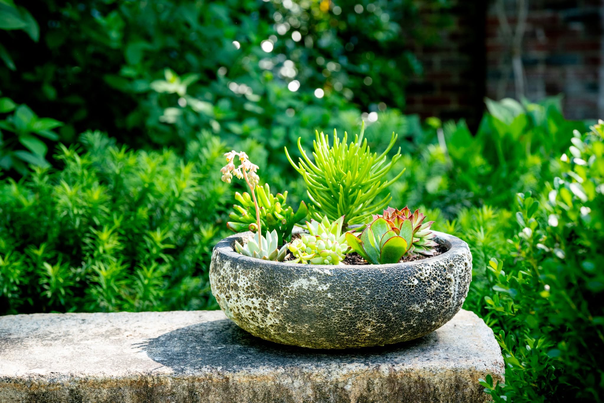 Lotus International Inc. Pottery