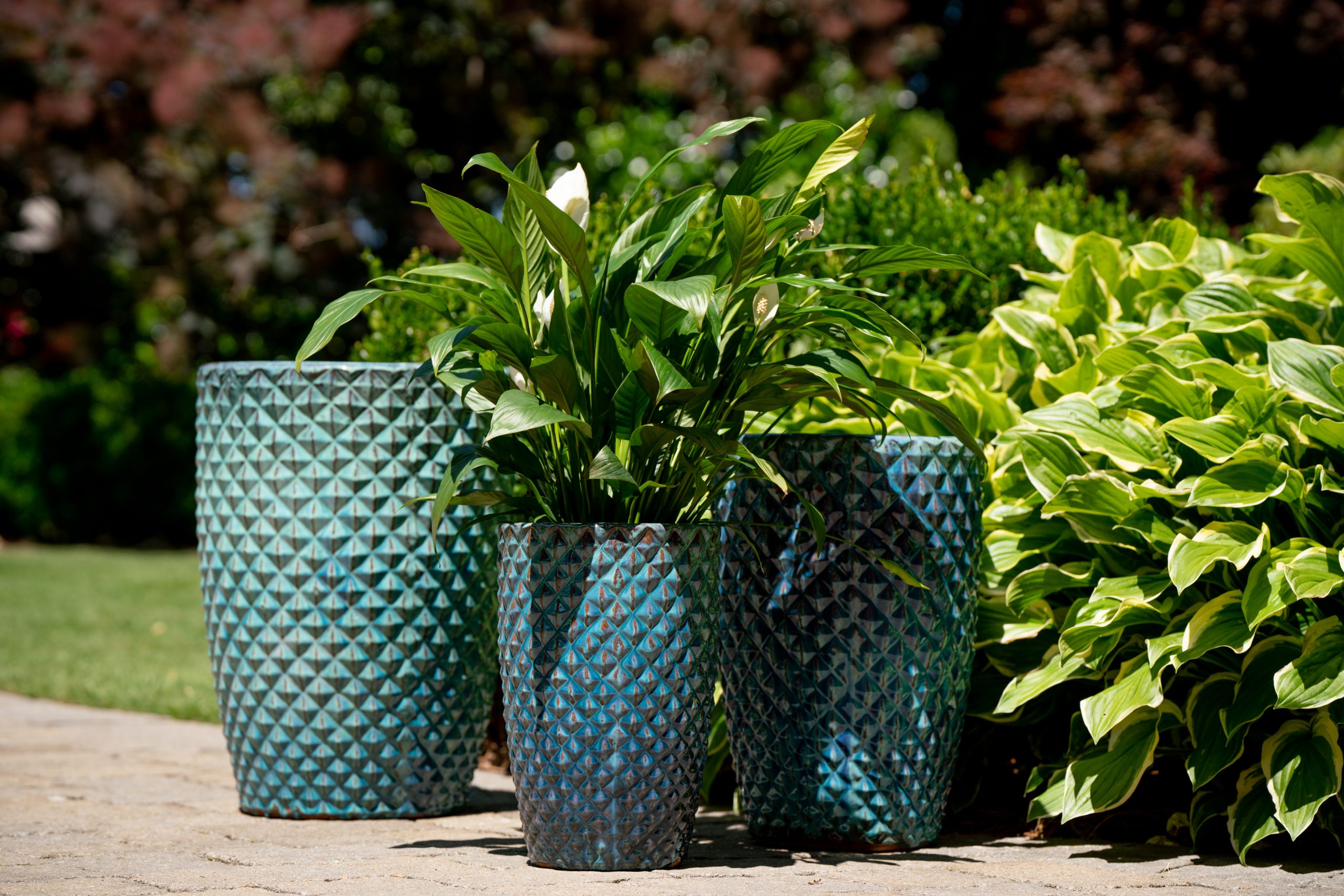 Outdoor Ceramic Planters